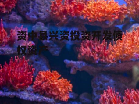 资中县兴资投资开发债权资产