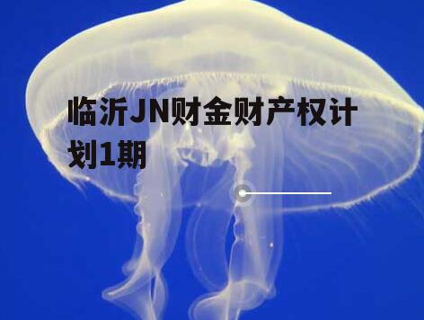 临沂JN财金财产权计划1期