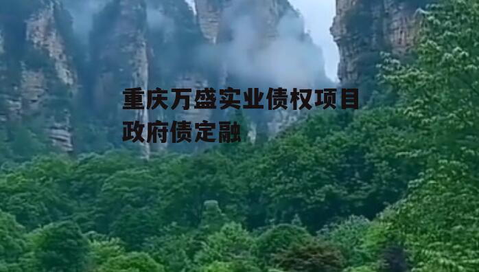 重庆万盛实业债权项目政府债定融