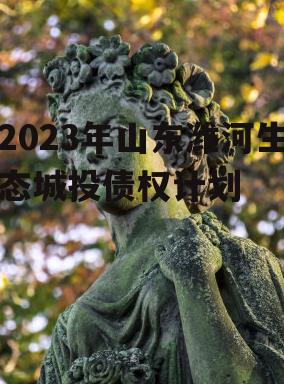 2023年山东潍河生态城投债权计划