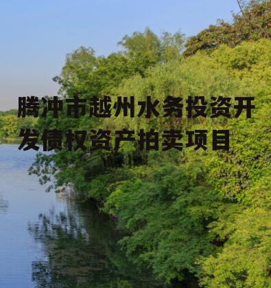 腾冲市越州水务投资开发债权资产拍卖项目