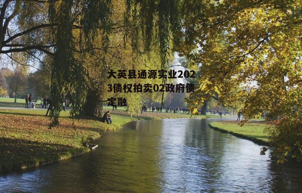 大英县通源实业2023债权拍卖02政府债定融