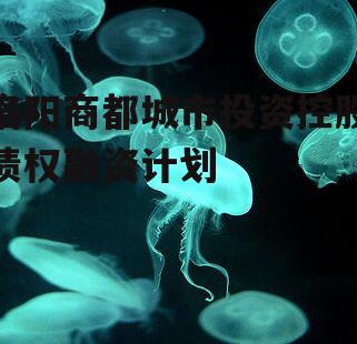 洛阳商都城市投资控股债权融资计划