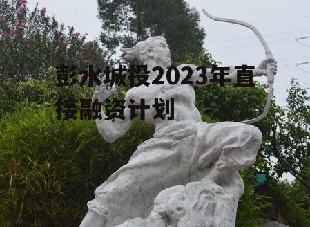彭水城投2023年直接融资计划