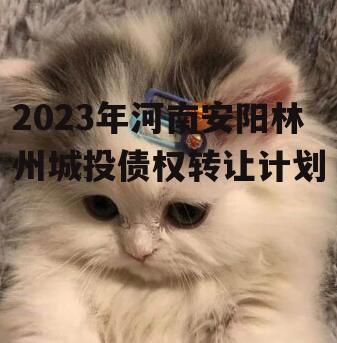 2023年河南安阳林州城投债权转让计划