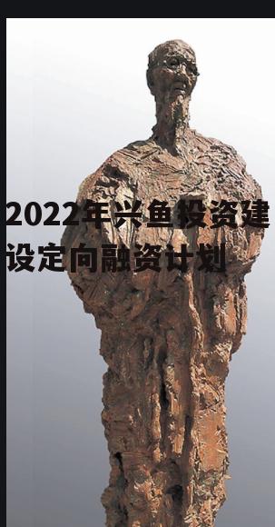 2022年兴鱼投资建设定向融资计划