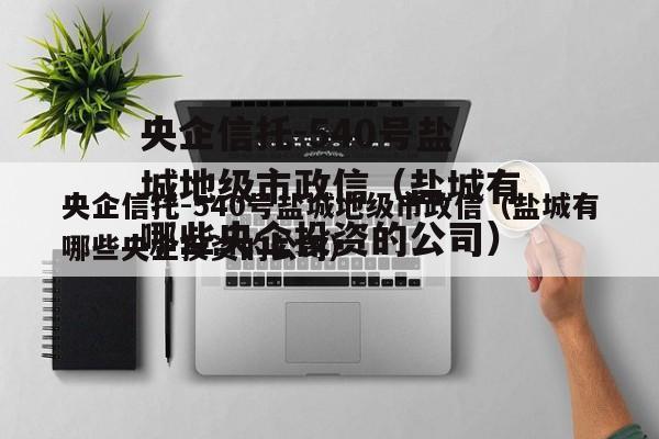 央企信托-540号盐城地级市政信（盐城有哪些央企投资的公司）
