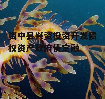 资中县兴资投资开发债权资产政府债定融