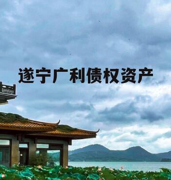 遂宁广利债权资产