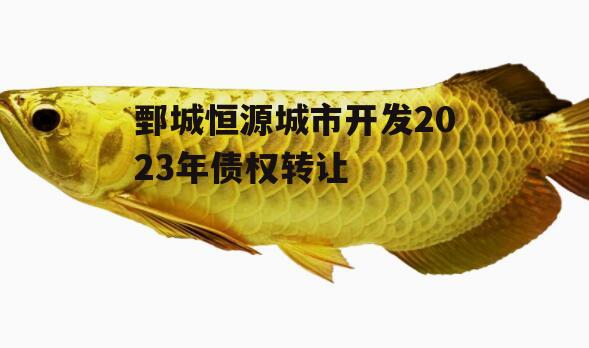 鄄城恒源城市开发2023年债权转让