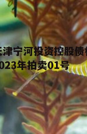 天津宁河投资控股债权2023年拍卖01号