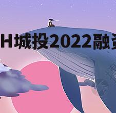 ZH城投2022融资