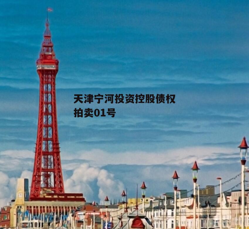 天津宁河投资控股债权拍卖01号