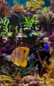 央企信托-493号盐城大丰政信