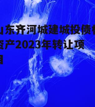 山东齐河城建城投债权资产2023年转让项目
