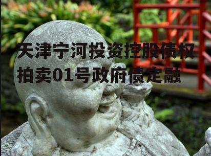 天津宁河投资控股债权拍卖01号政府债定融