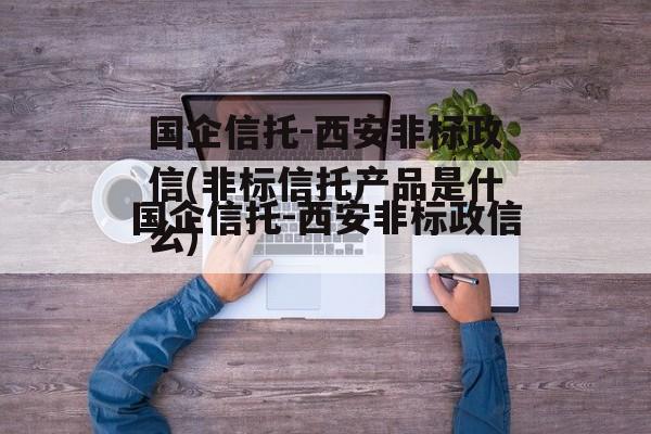 国企信托-西安非标政信(非标信托产品是什么)