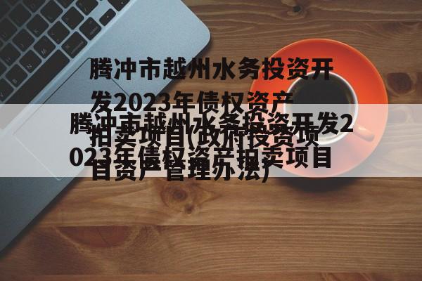腾冲市越州水务投资开发2023年债权资产拍卖项目(政府投资项目资产管理办法)