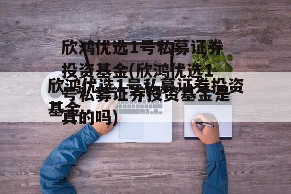 欣鸿优选1号私募证券投资基金(欣鸿优选1号私募证券投资基金是真的吗)