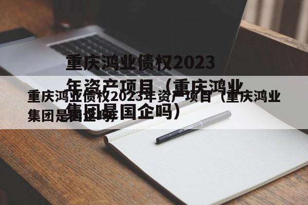 重庆鸿业债权2023年资产项目（重庆鸿业集团是国企吗）