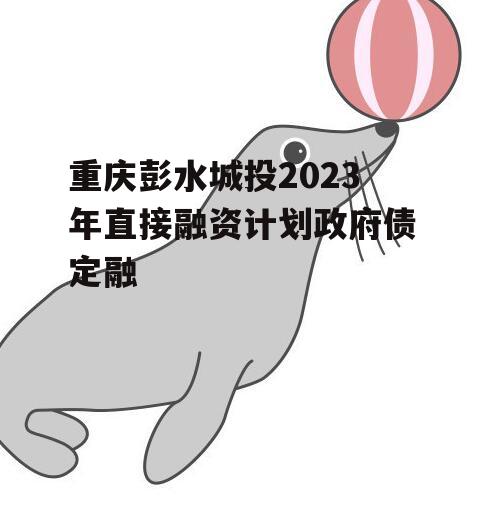 重庆彭水城投2023年直接融资计划政府债定融