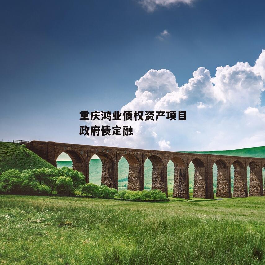 重庆鸿业债权资产项目政府债定融