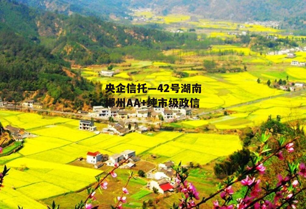央企信托—42号湖南郴州AA+纯市级政信