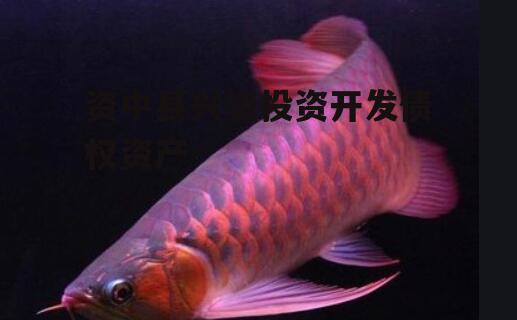 资中县兴资投资开发债权资产