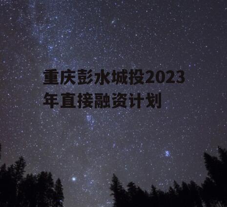 重庆彭水城投2023年直接融资计划