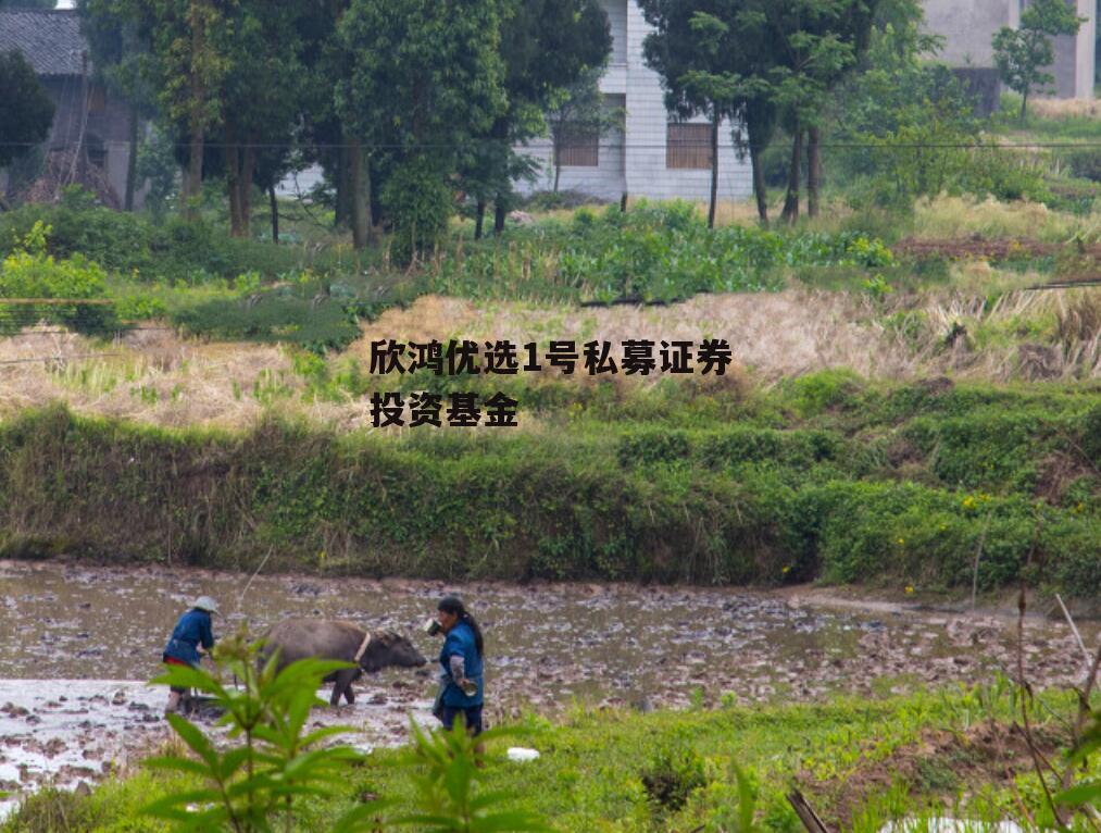 欣鸿优选1号私募证券投资基金