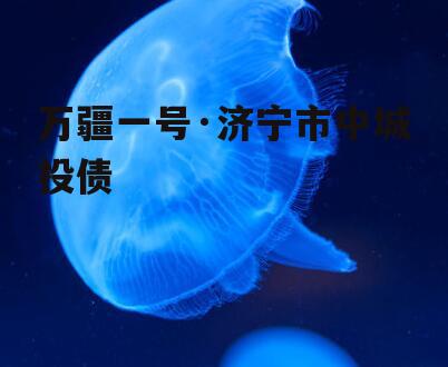 万疆一号·济宁市中城投债