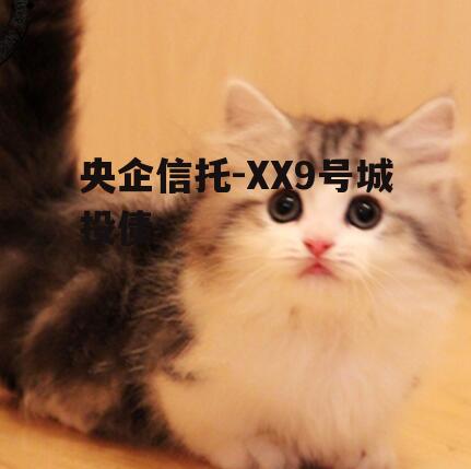 央企信托-XX9号城投债