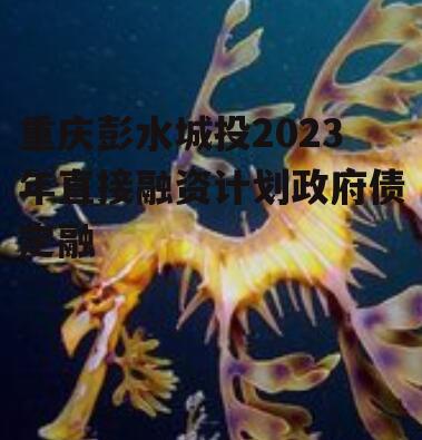 重庆彭水城投2023年直接融资计划政府债定融
