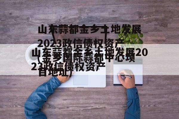 山东蒜都金乡土地发展2023政信债权资产(金乡国际蒜都中心项目地址)