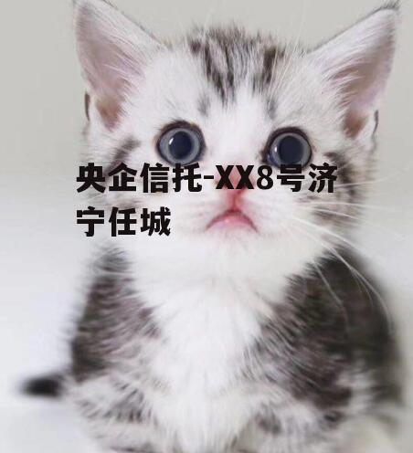 央企信托-XX8号济宁任城