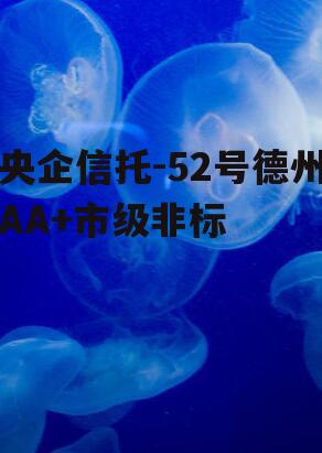 央企信托-52号德州AA+市级非标