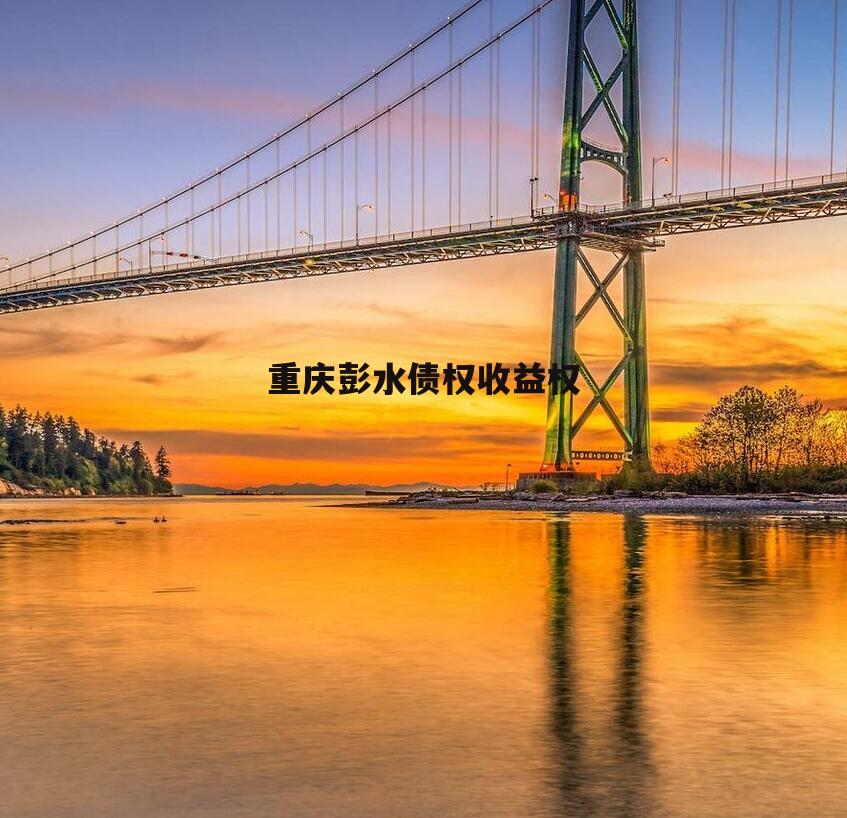 重庆彭水债权收益权