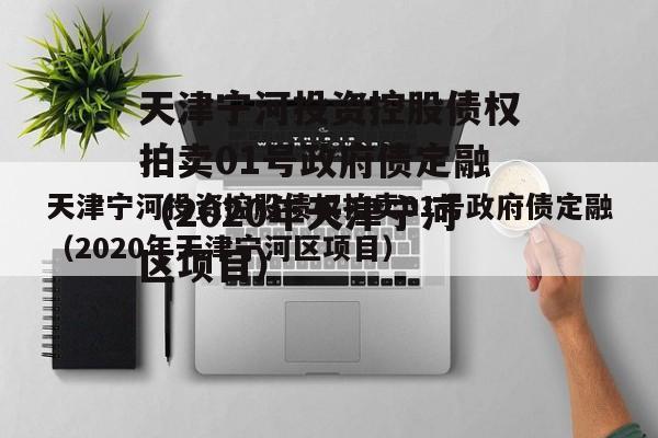 天津宁河投资控股债权拍卖01号政府债定融（2020年天津宁河区项目）