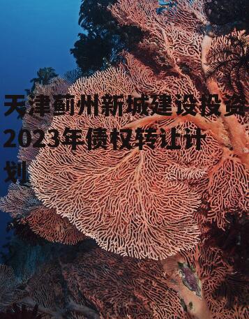 天津蓟州新城建设投资2023年债权转让计划