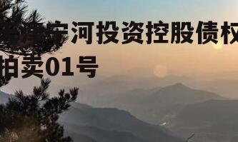 天津宁河投资控股债权拍卖01号