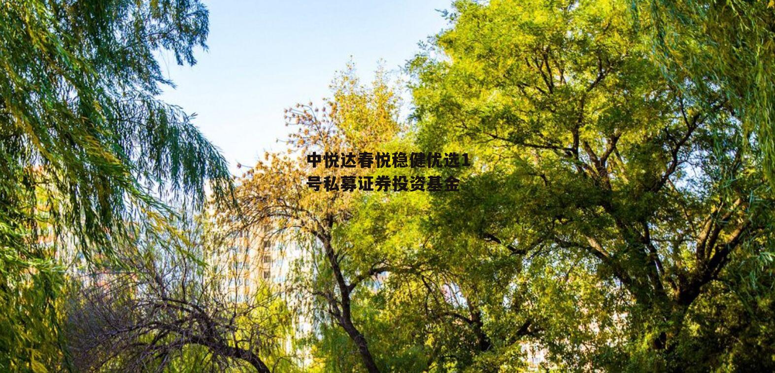 中悦达春悦稳健优选1号私募证券投资基金