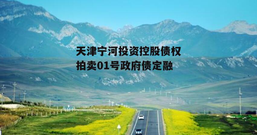 天津宁河投资控股债权拍卖01号政府债定融