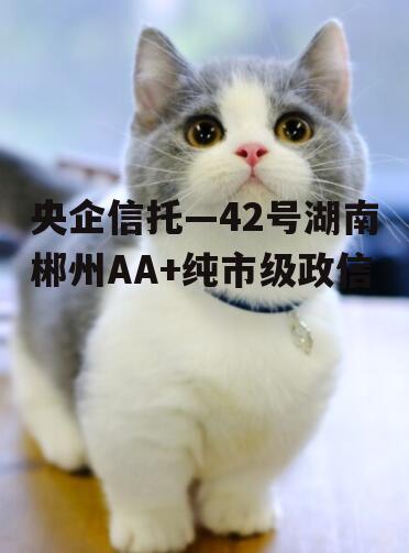 央企信托—42号湖南郴州AA+纯市级政信