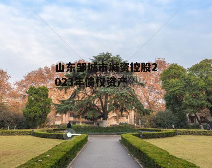 山东邹城市城资控股2023年债权资产