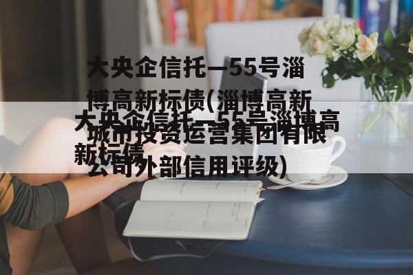 大央企信托—55号淄博高新标债(淄博高新城市投资运营集团有限公司外部信用评级)