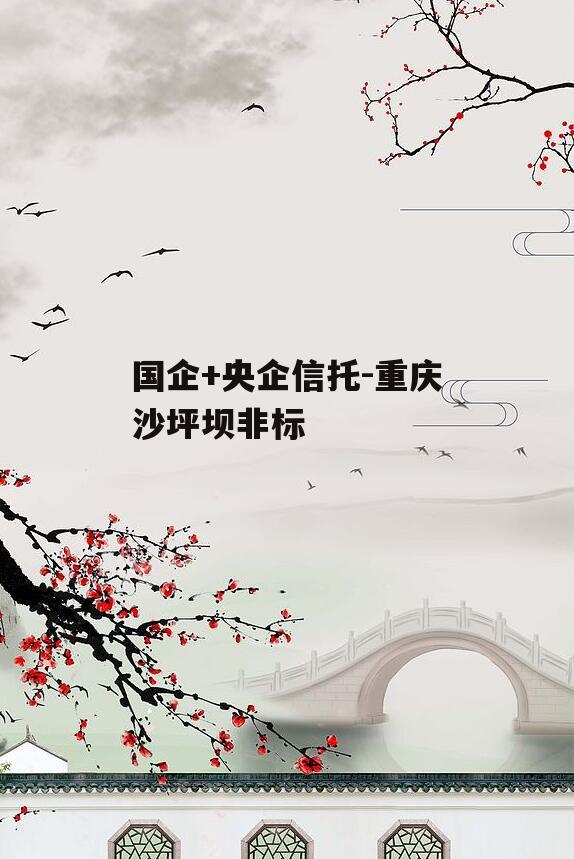 国企+央企信托-重庆沙坪坝非标