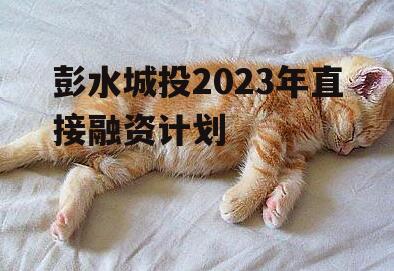 彭水城投2023年直接融资计划
