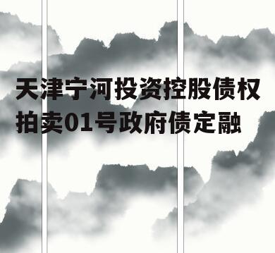 天津宁河投资控股债权拍卖01号政府债定融