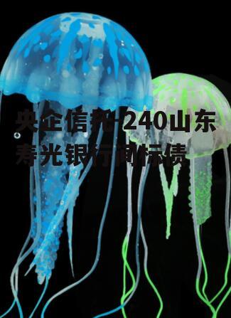 央企信托-240山东寿光银行间标债