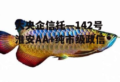 大央企信托—142号淮安AA+纯市级政信